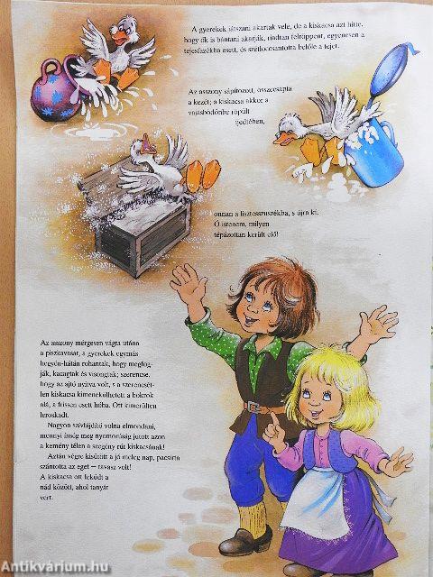 A rút kiskacsa