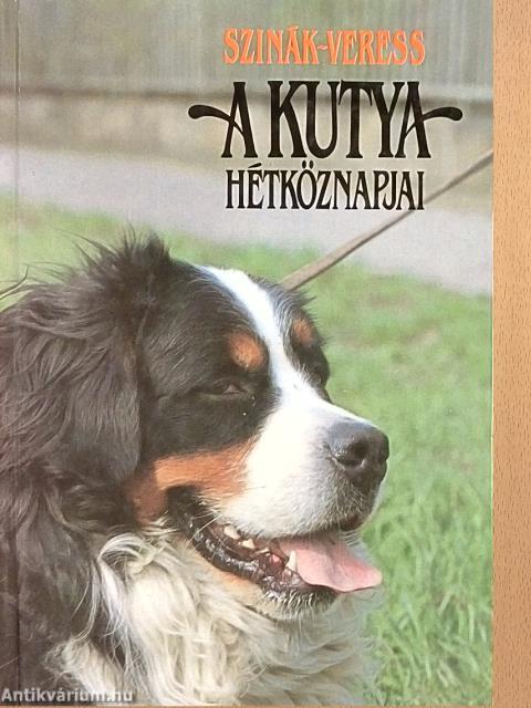 A kutya hétköznapjai