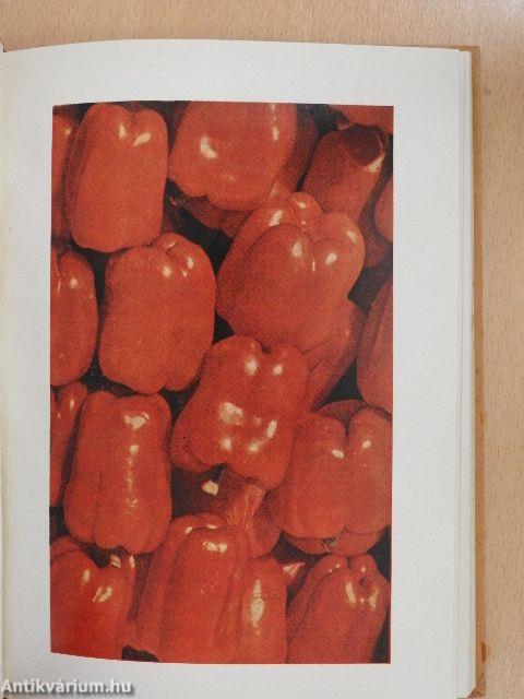 A szentesi paprika