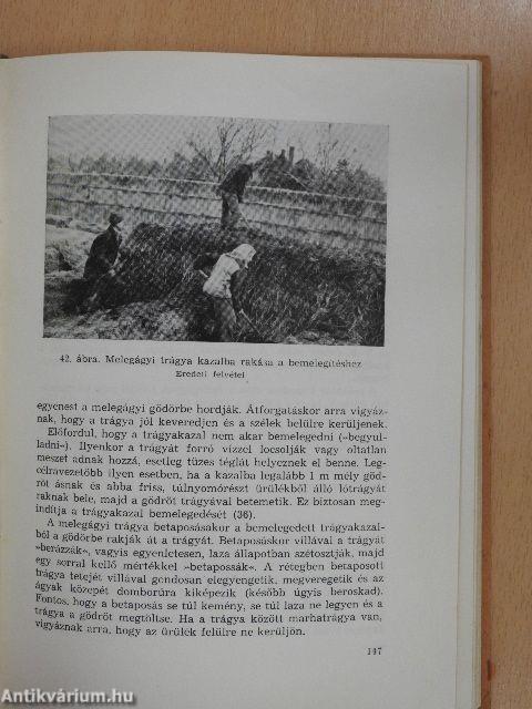 A szentesi paprika