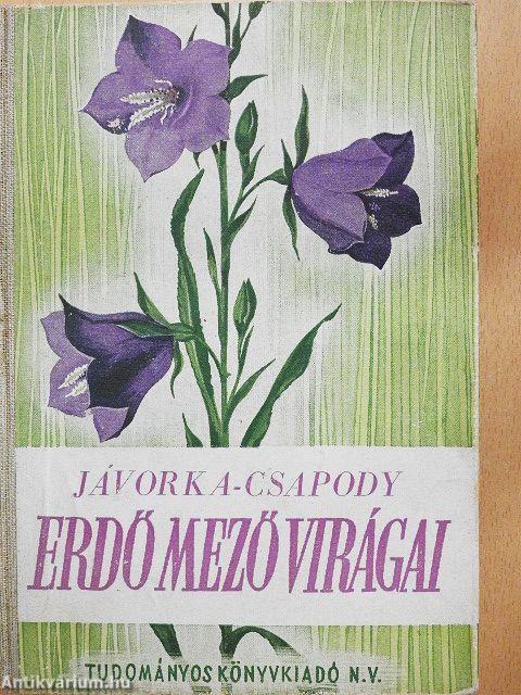 Erdő-mező virágai