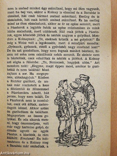 A Pál-utcai fiúk