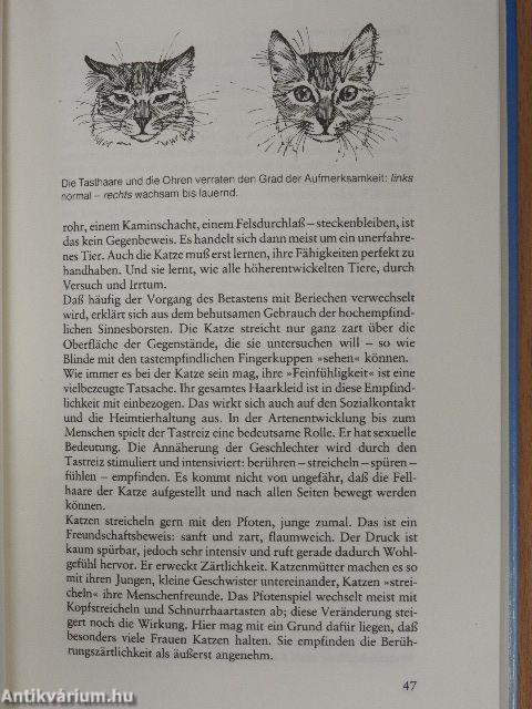 Knaurs Katzenbuch