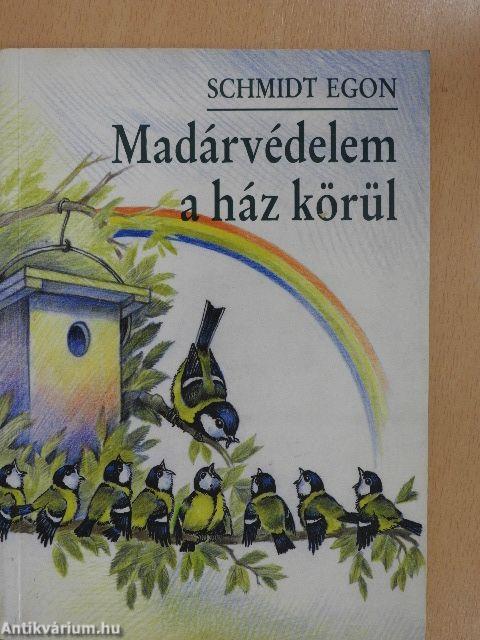 Madárvédelem a ház körül