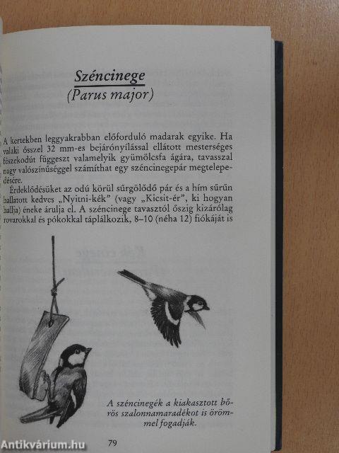 Madárvédelem a ház körül