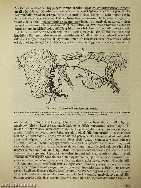Rendszeres bonctan