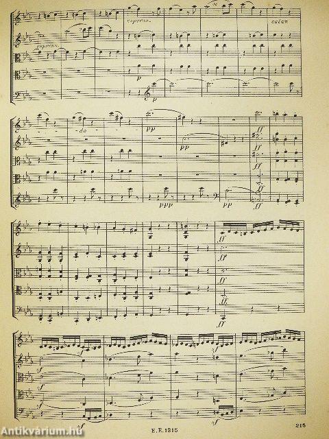 Quintett C moll