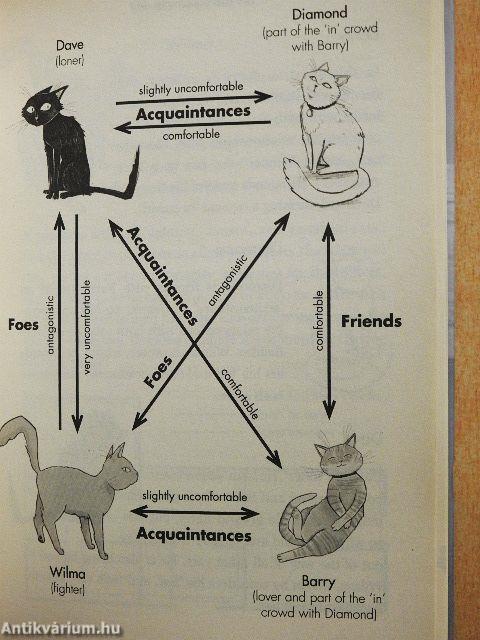The Cat Personality Test