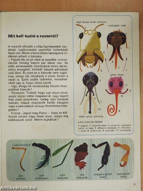 Rovarlesen