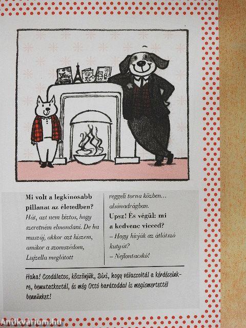 A nagy autóverseny