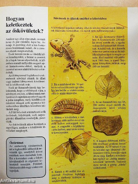 Az ősvilág