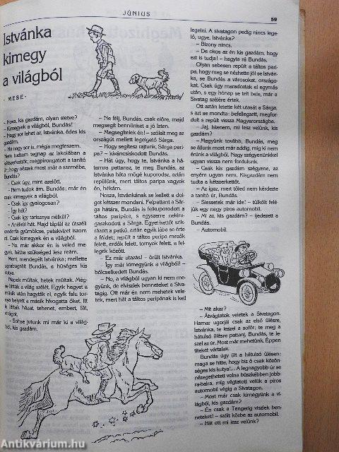 Az Én Ujságom