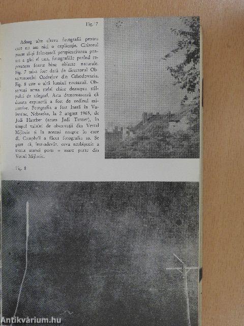 Jenciék nyara