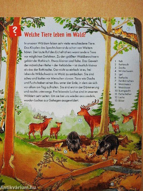 Im Wald