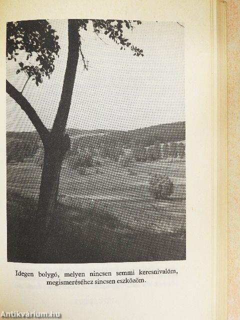 Évkönyv