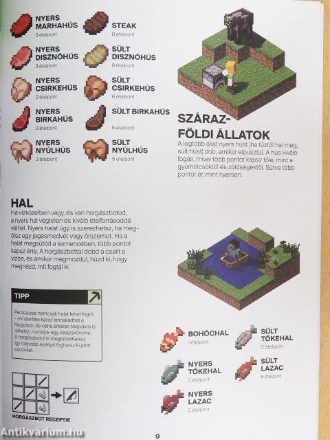 Minecraft - Útmutató a túléléshez 