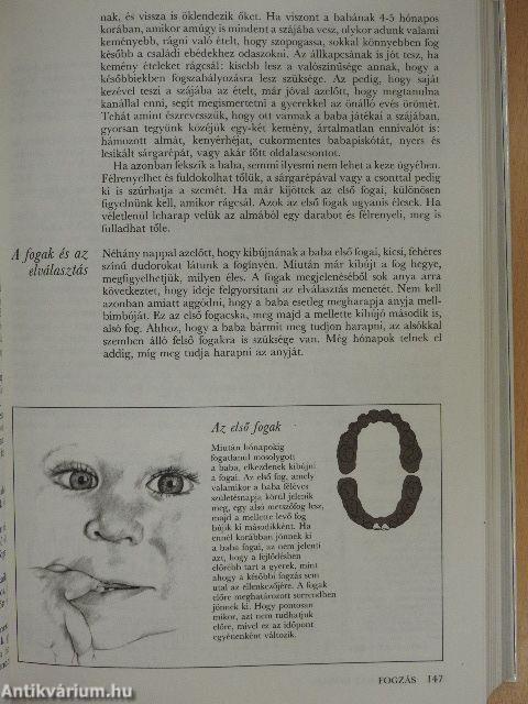 Picik és kicsik