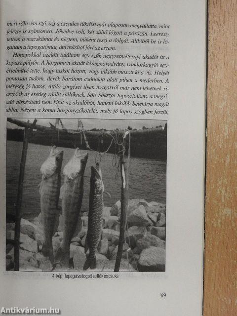 A süllő horgászata