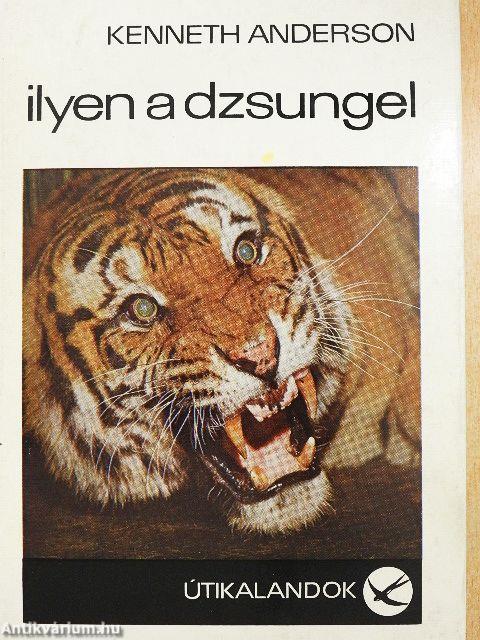 Ilyen a dzsungel