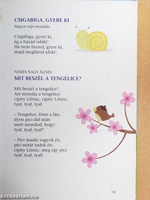 Hóc, hóc, katona