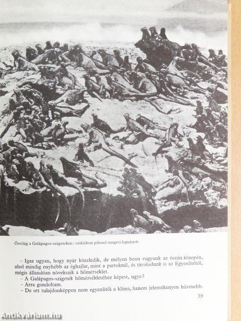 Fiúk Évkönyve 1968