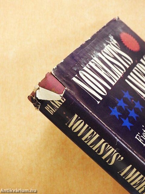 Novelists' America