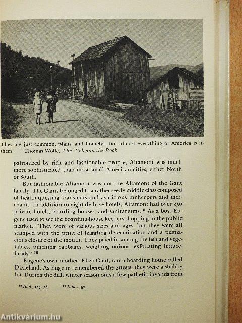 Novelists' America