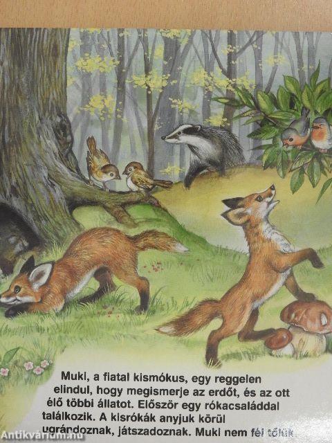Muki, a mókus