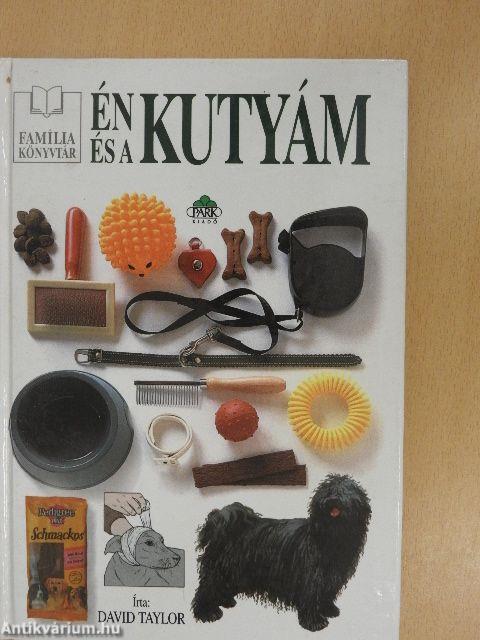 Én és a kutyám