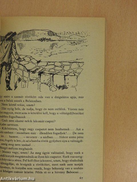 A koppányi aga testamentuma