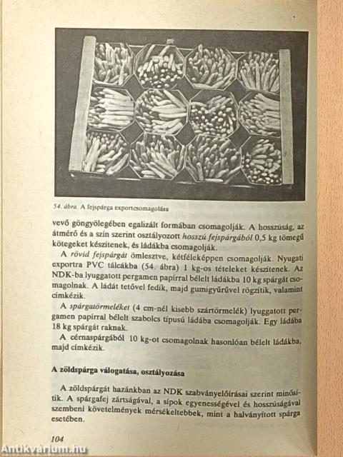 A háztáji új növénye: a spárga