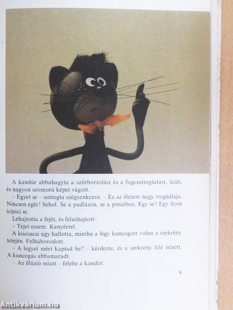 Egy kiscsacsi története