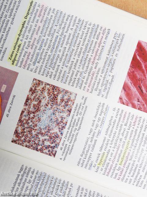 Pathologia I-III.
