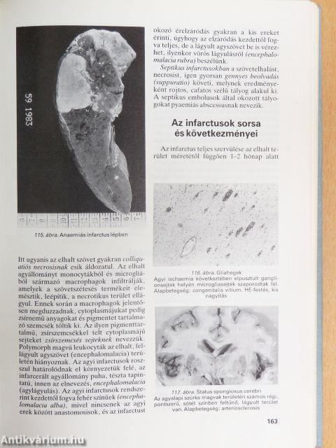 Pathologia I-III.