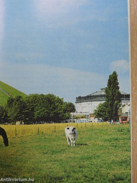 Waterloo