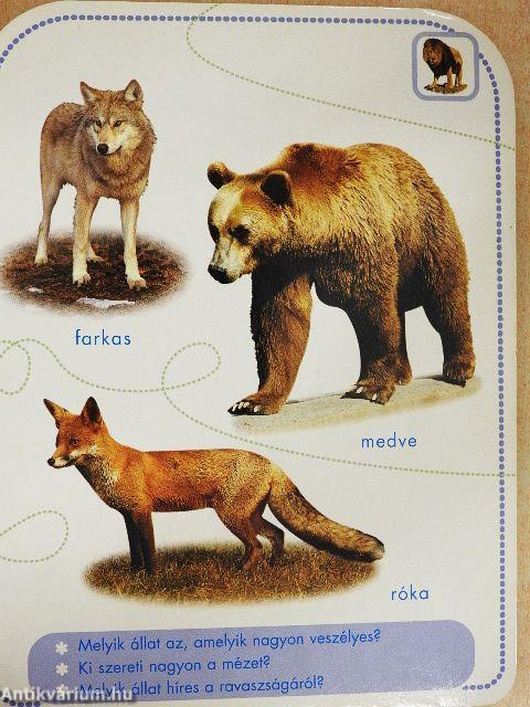 Az állatok