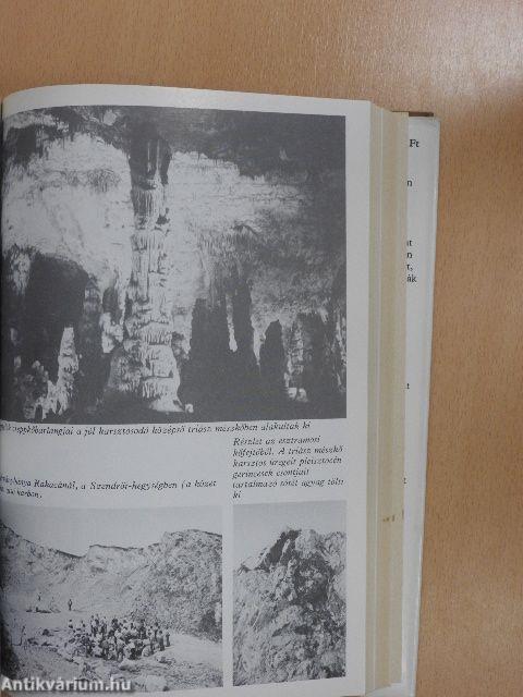 Évmilliók emlékei