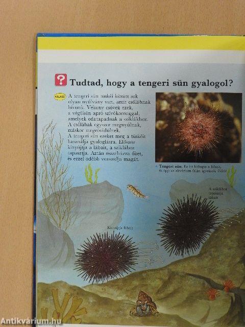 Élet a vizekben