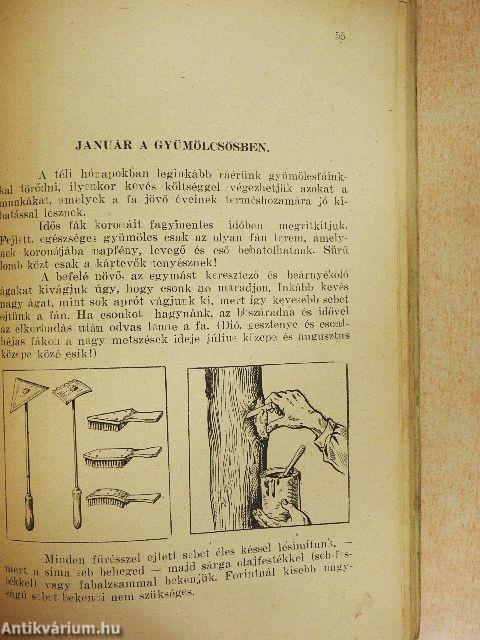 Gyümölcsöskert
