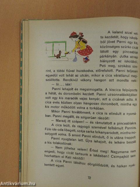 Pöttyös Panni naplója