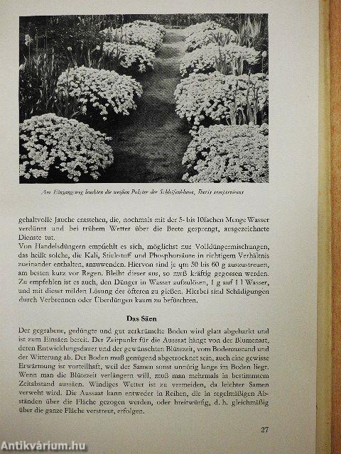 Blumen im Garten