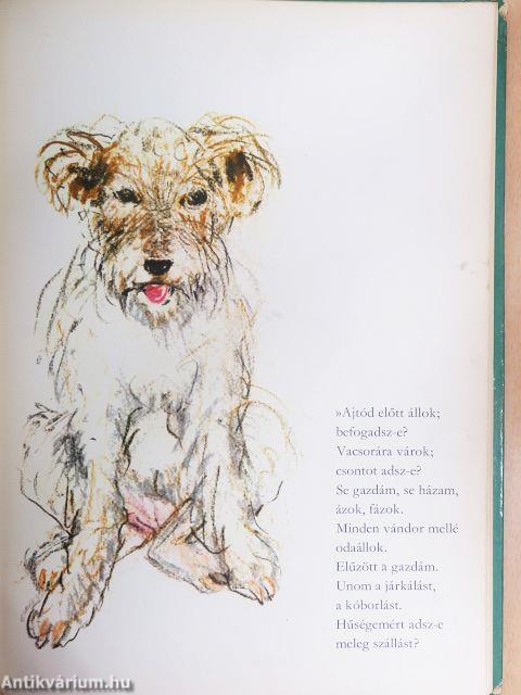 Barátaink