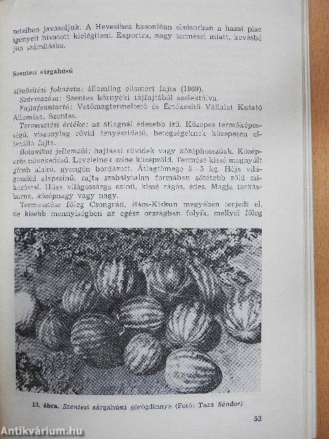Dinnyetermesztés