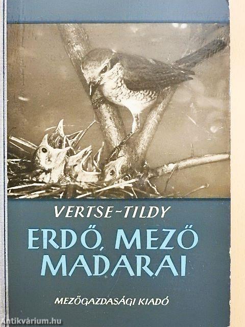 Erdő, mező madarai