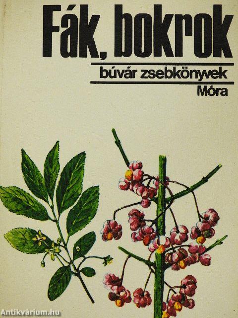 Fák, bokrok