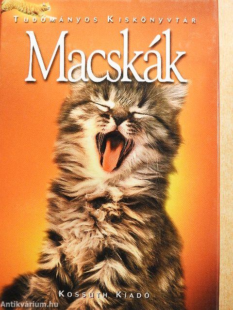 Macskák