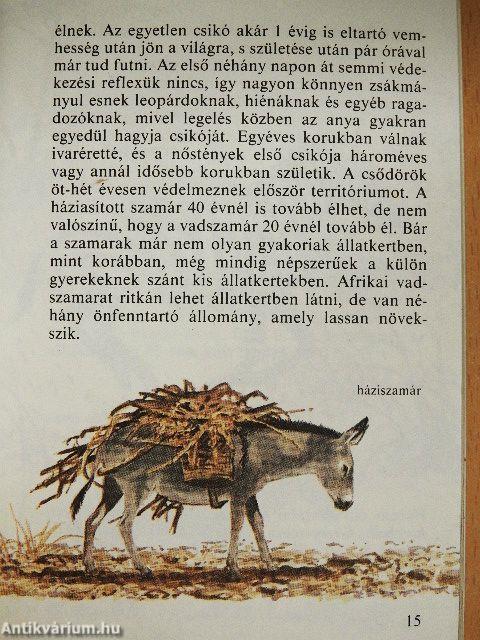Állatkerti emlősök 2.