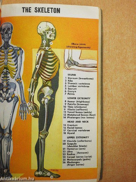 First Aid Textbook
