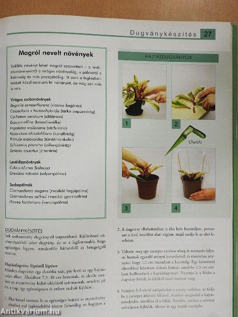 Szobanövények nagykönyve