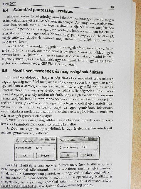 Microsoft Excel 2007 